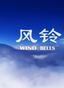 tvs1在线直播